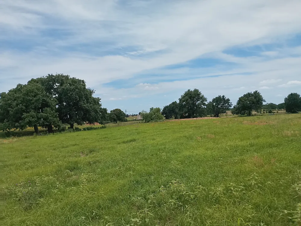 35 FM 1512 Donie, TX 75838