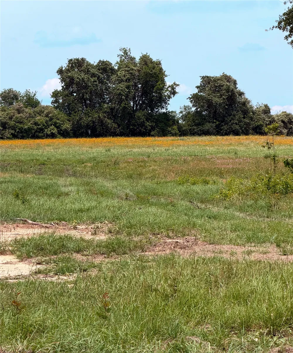 35 FM 1512 Donie, TX 75838
