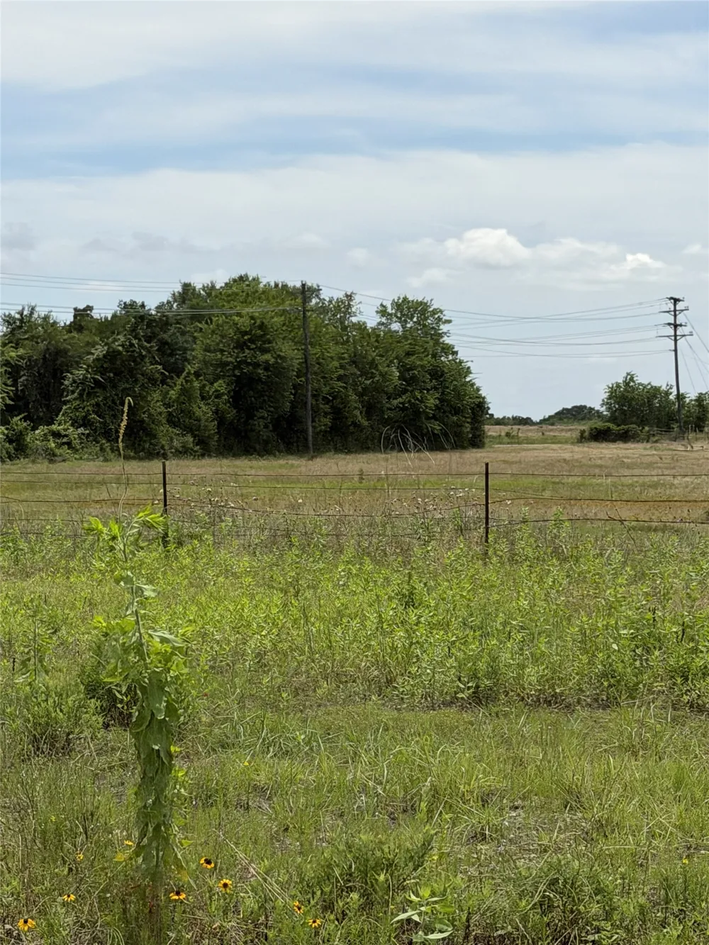 35 FM 1512 Donie, TX 75838