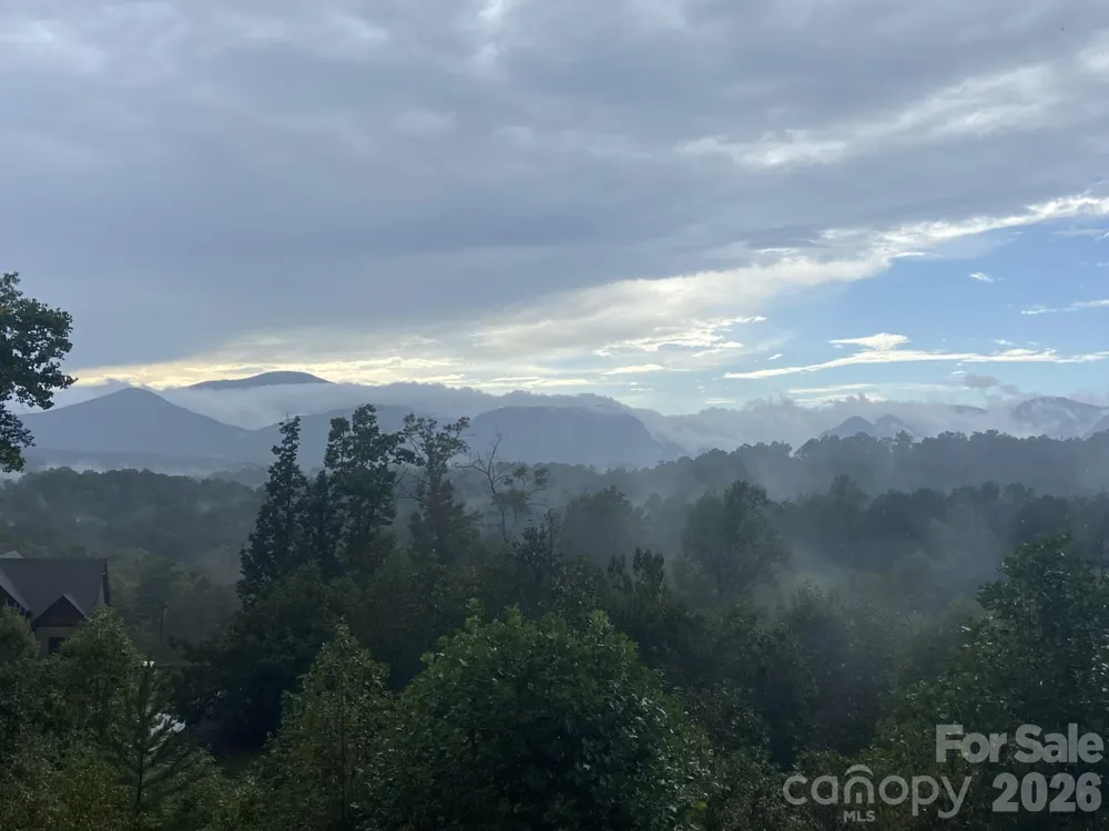 234 Crest Drive Lake Lure, NC 28746