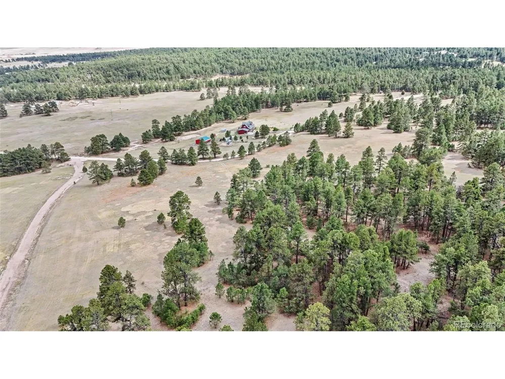 8653 Teacup Road Elbert, CO 80106