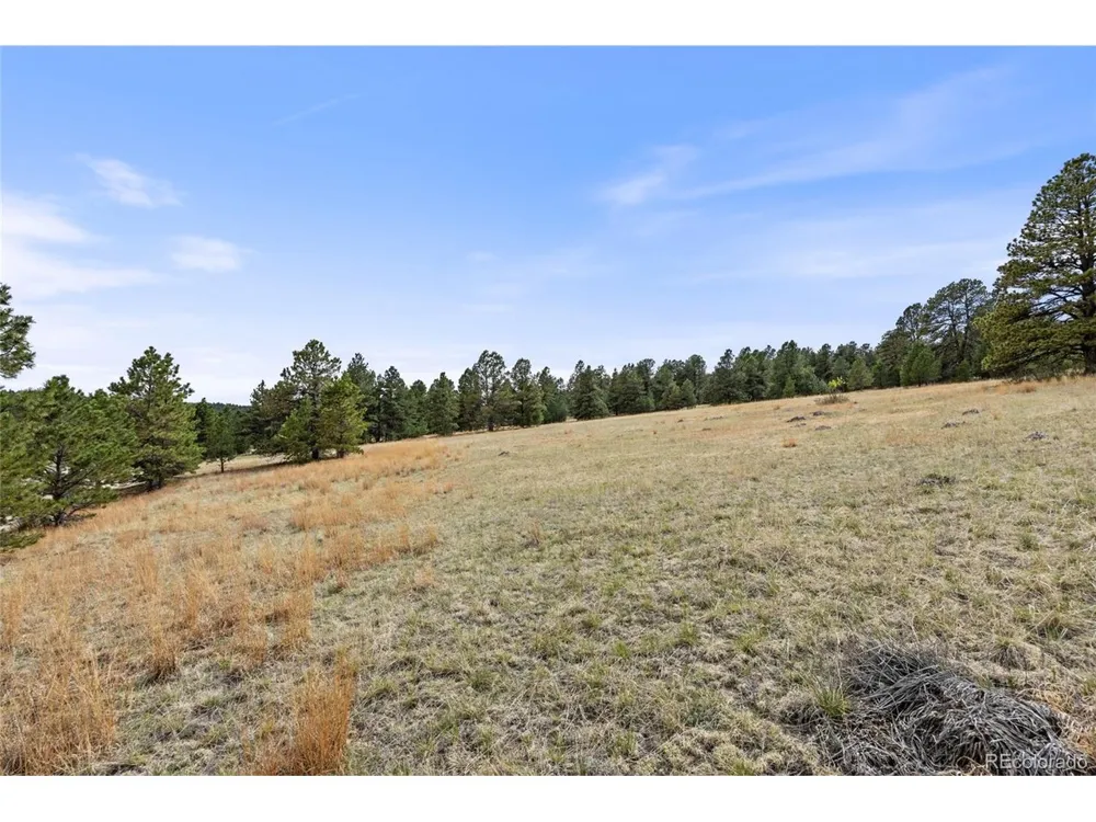 8653 Teacup Road Elbert, CO 80106
