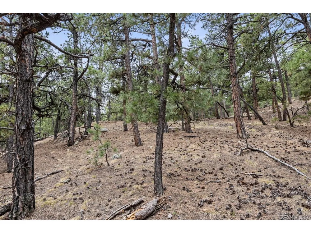8653 Teacup Road Elbert, CO 80106