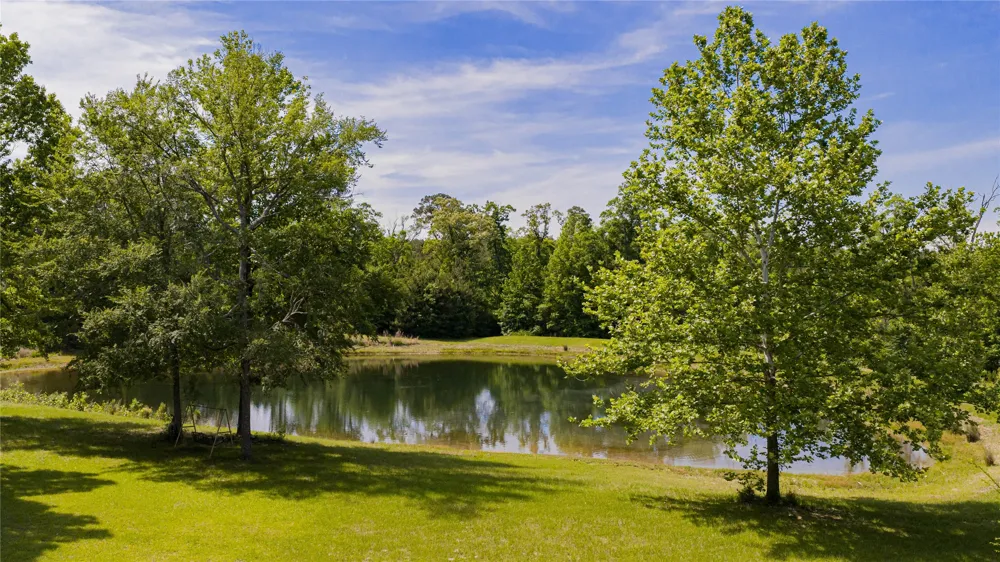 1655 County Road 1627 Linden, TX 75563