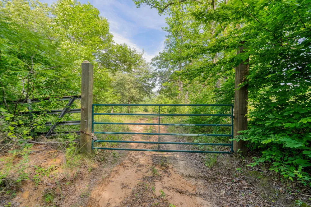 1655 County Road 1627 Linden, TX 75563