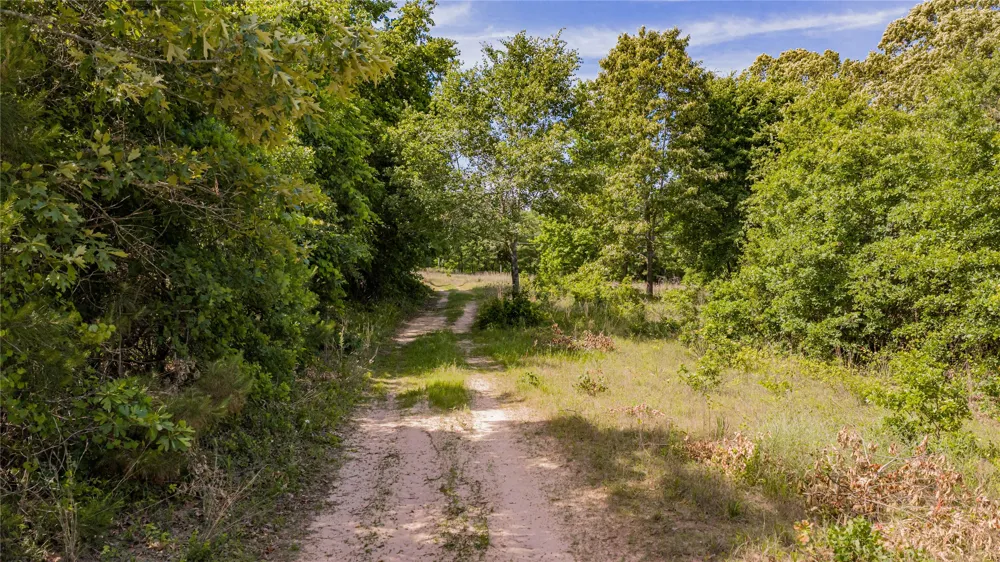 1655 County Road 1627 Linden, TX 75563