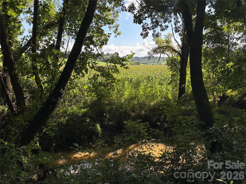 136 Peaceful Valley Drive Leicester, NC 28748