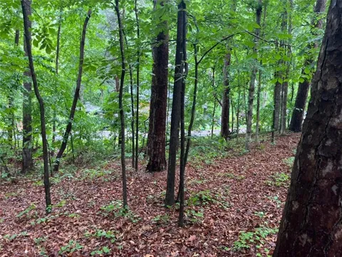 0 Lake Club Drive