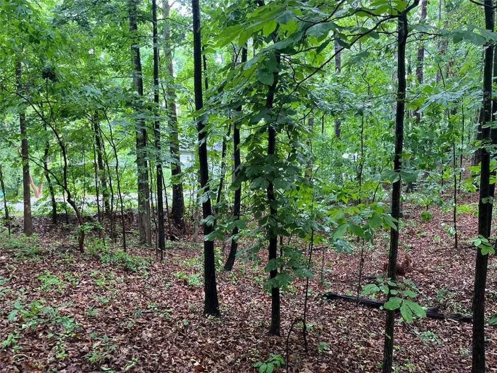 0 Lake Club Drive Lavonia, GA 30553
