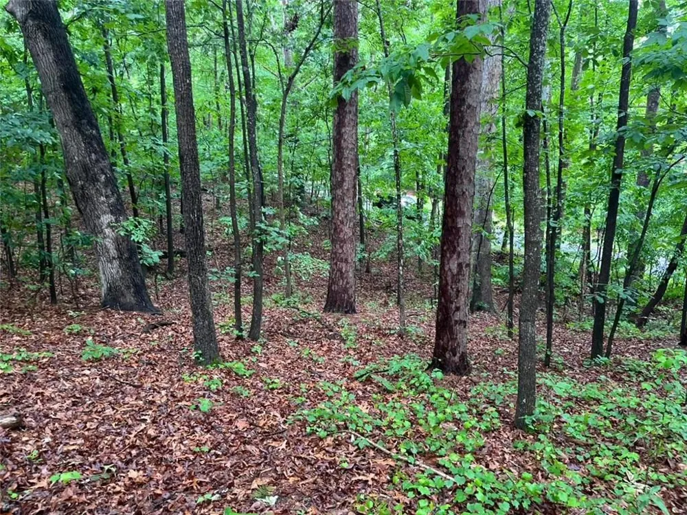 0 Lake Club Drive Lavonia, GA 30553