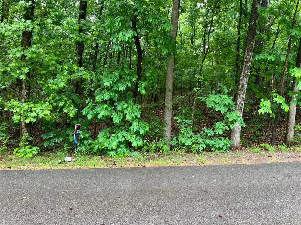 0 Lake Club Drive Lavonia, GA 30553