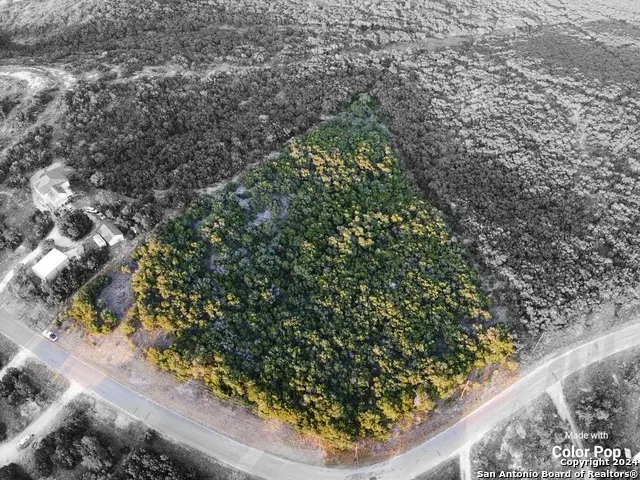 314 county road 2744 Mico, TX 78056