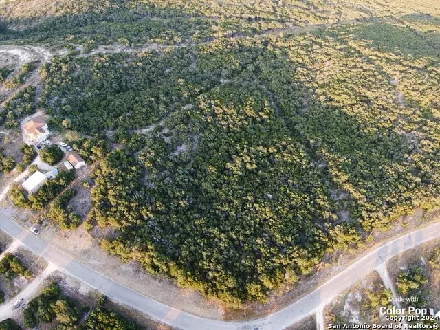 314 county road 2744 Mico, TX 78056