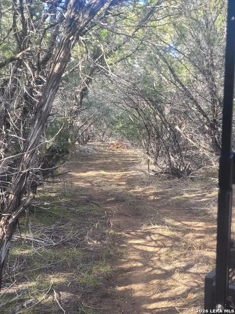 LOT 20 County Road 357B Utopia, TX 78884