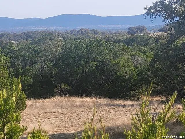 LOT 20 County Road 357B Utopia, TX 78884