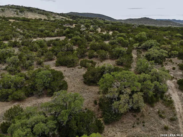 LOT 20 County Road 357B Utopia, TX 78884