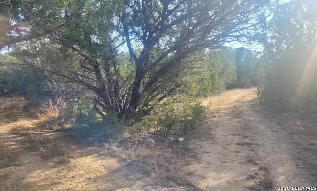 LOT 20 County Road 357B Utopia, TX 78884