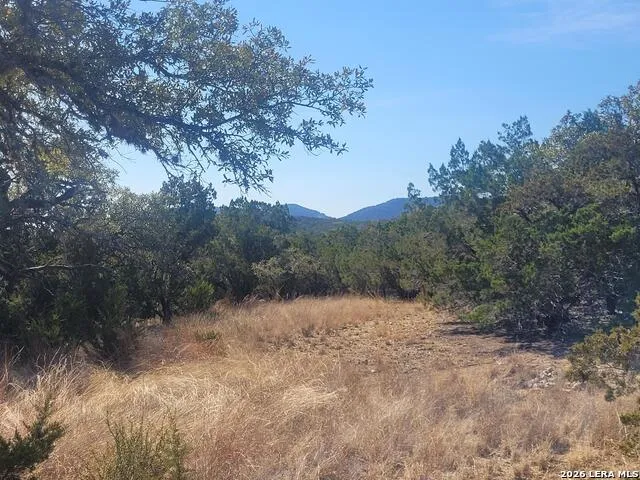LOT 20 County Road 357B Utopia, TX 78884