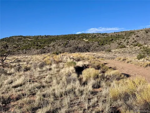 10 Calvary Trail