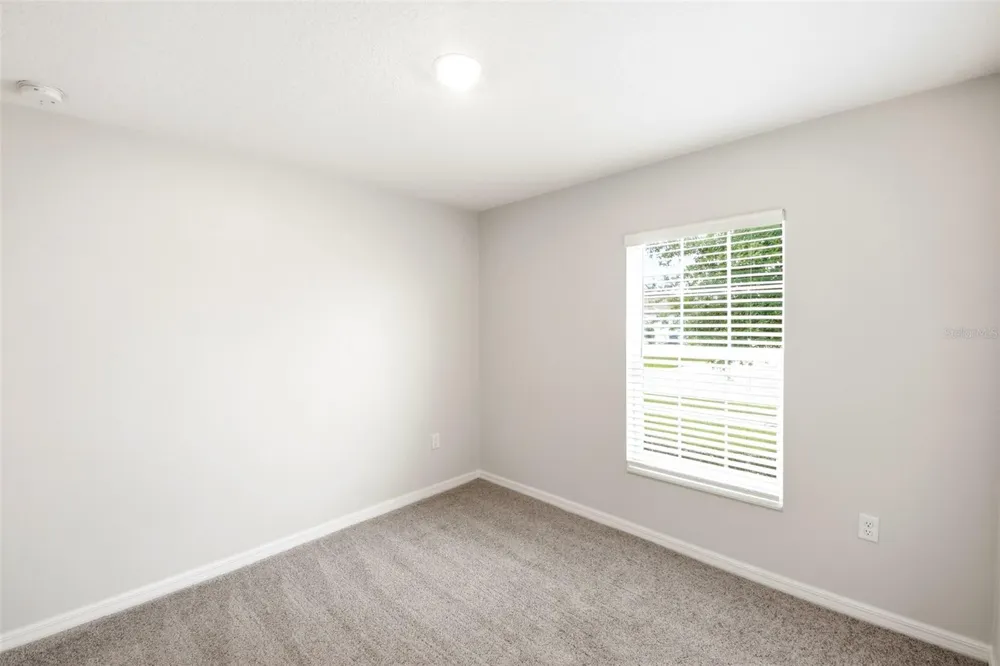 1668 GOPHER TREE STREET Mascotte, FL 34753
