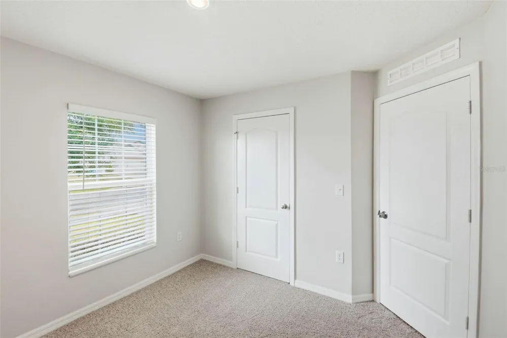 1668 GOPHER TREE STREET Mascotte, FL 34753