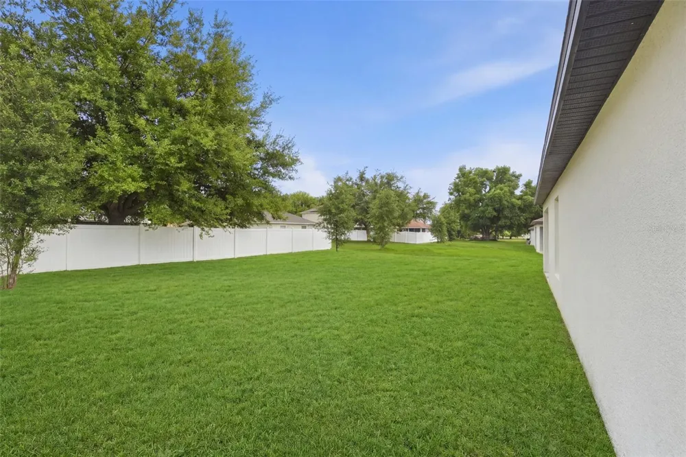 1668 GOPHER TREE STREET Mascotte, FL 34753