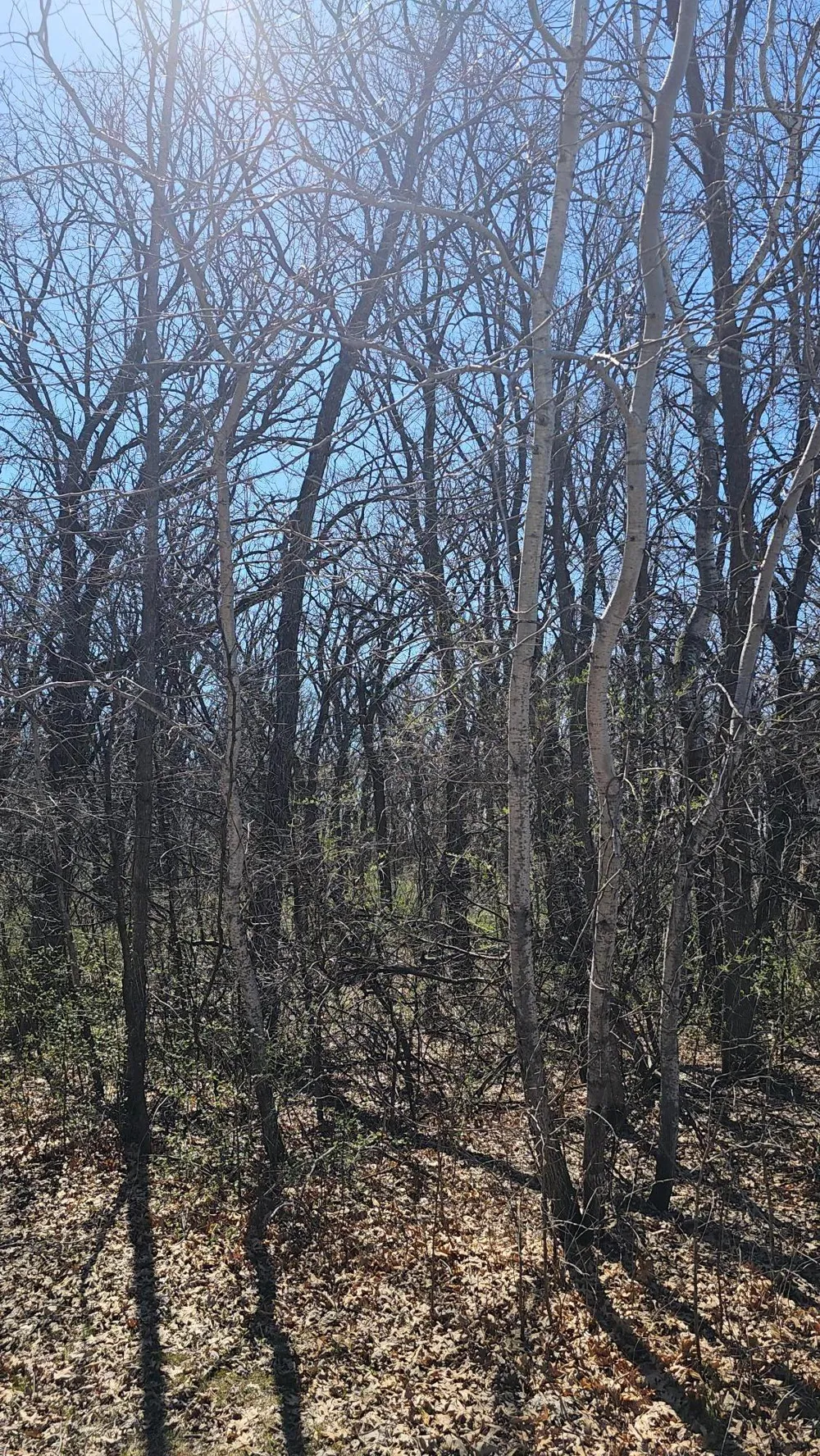TBD 57th Street SE Saint Cloud, MN 56304