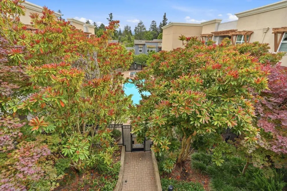 4388 El Camino Real #309 Los Altos, CA 94022