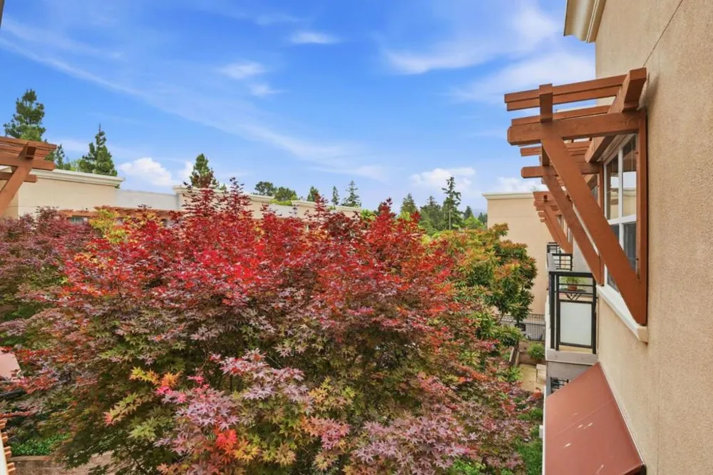 4388 El Camino Real #309 Los Altos, CA 94022