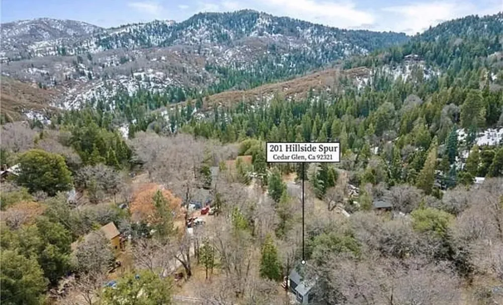 201 Hillside Spur Cedar Glen, CA 92321