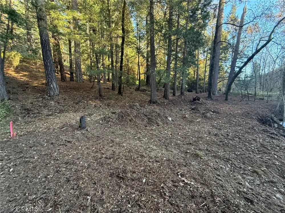 15905 Rainbow Drive Cobb, CA 95426