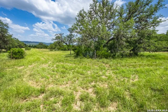 1040 Panther Hill Road Vanderpool, TX 78885