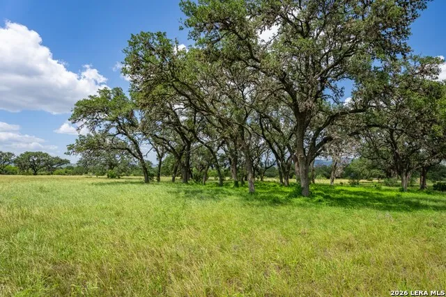 1040 Panther Hill Road Vanderpool, TX 78885