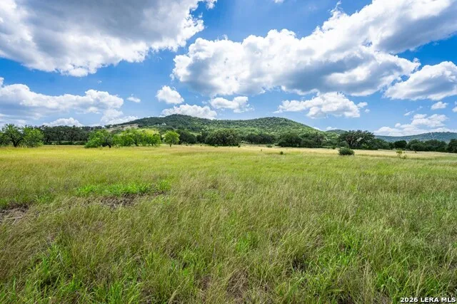 1040 Panther Hill Road Vanderpool, TX 78885