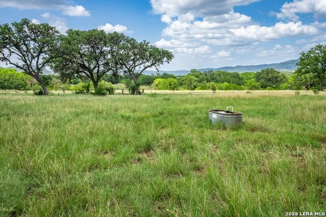 1040 Panther Hill Road Vanderpool, TX 78885