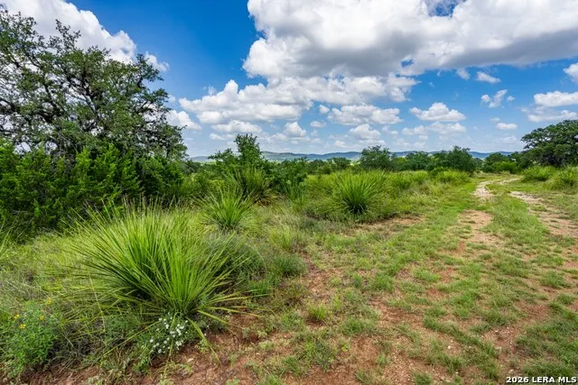 1040 Panther Hill Road Vanderpool, TX 78885