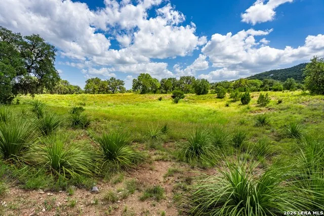 1040 Panther Hill Road Vanderpool, TX 78885
