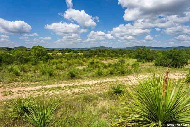 1040 Panther Hill Road Vanderpool, TX 78885