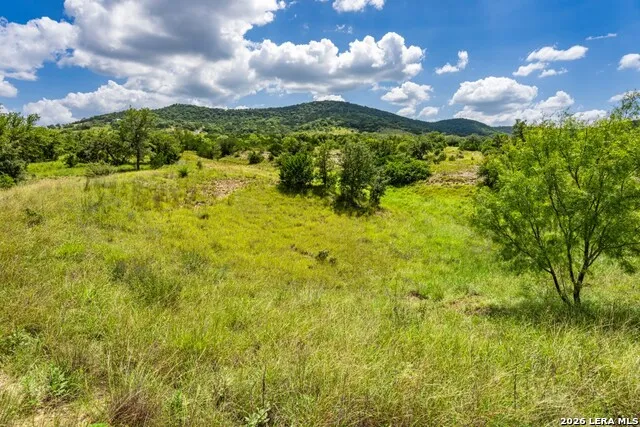 1040 Panther Hill Road Vanderpool, TX 78885