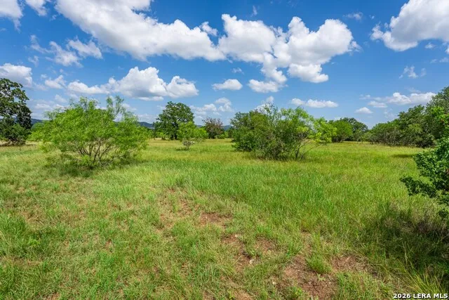 1040 Panther Hill Road Vanderpool, TX 78885