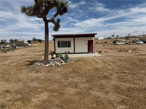 11551 Cactus