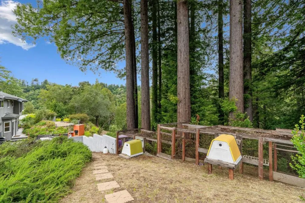 345 Eagle Road Scotts Valley, CA 95066