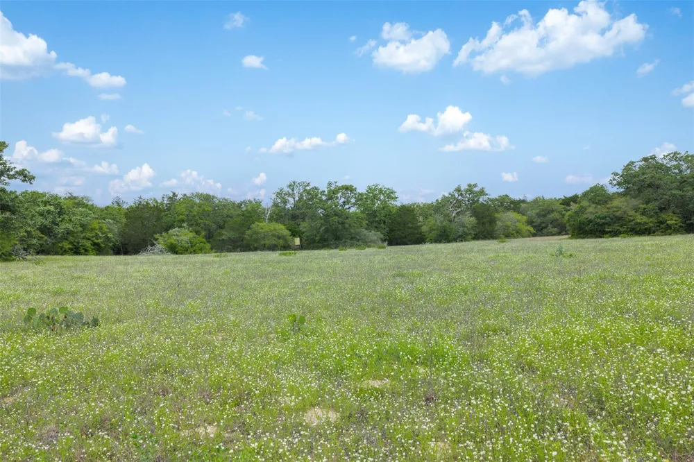622 Red Rock Ranch Road Red Rock, TX 78662