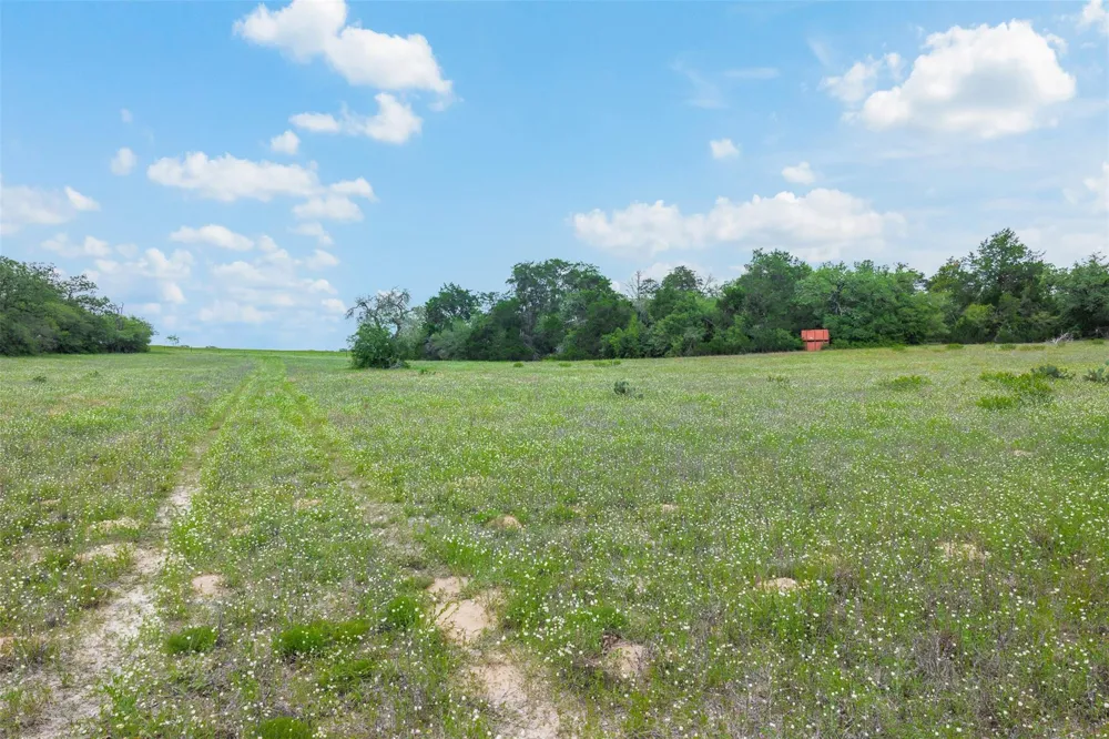 622 Red Rock Ranch Road Red Rock, TX 78662