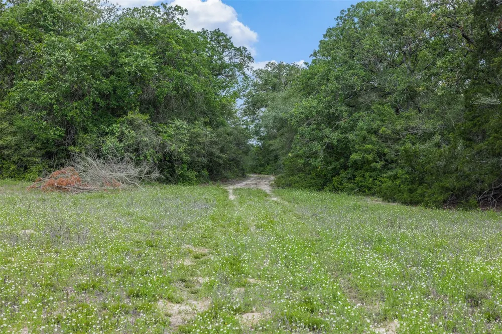 622 Red Rock Ranch Road Red Rock, TX 78662