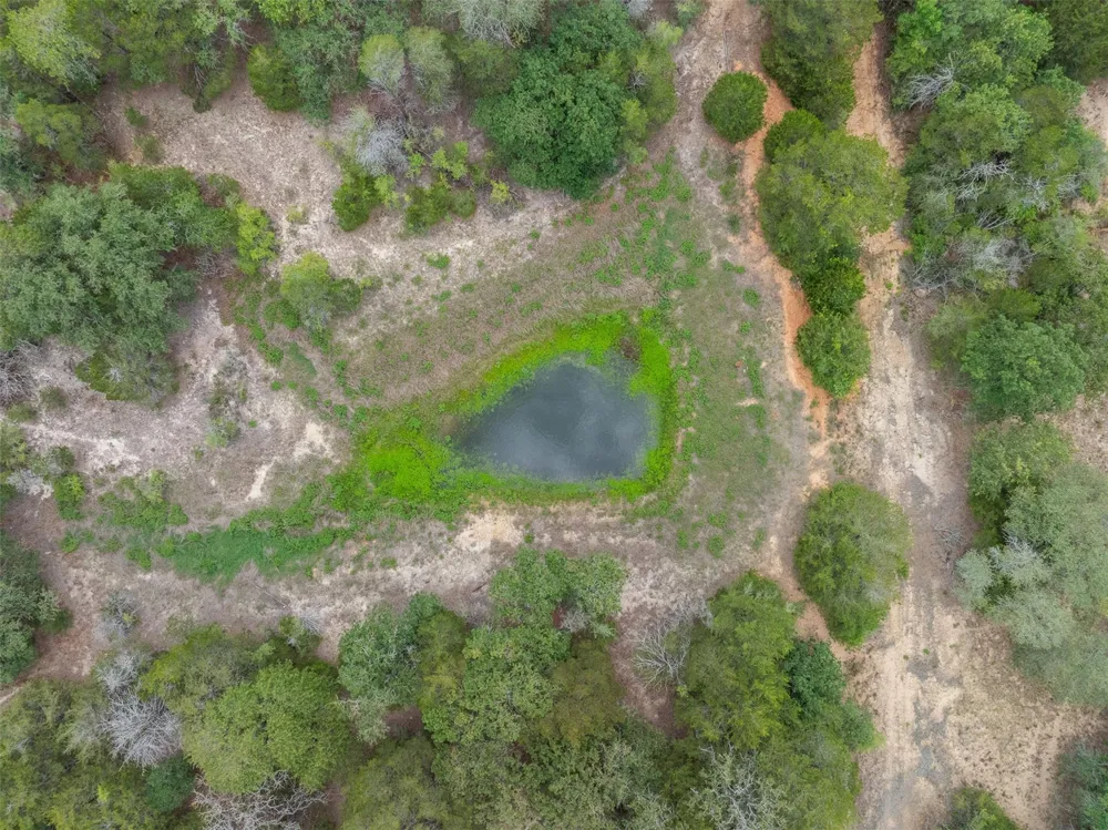 622 Red Rock Ranch Road Red Rock, TX 78662