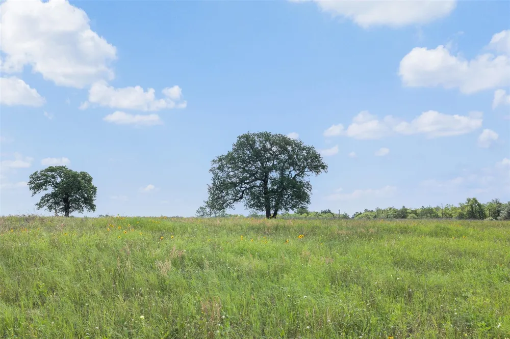 622 Red Rock Ranch Road Red Rock, TX 78662