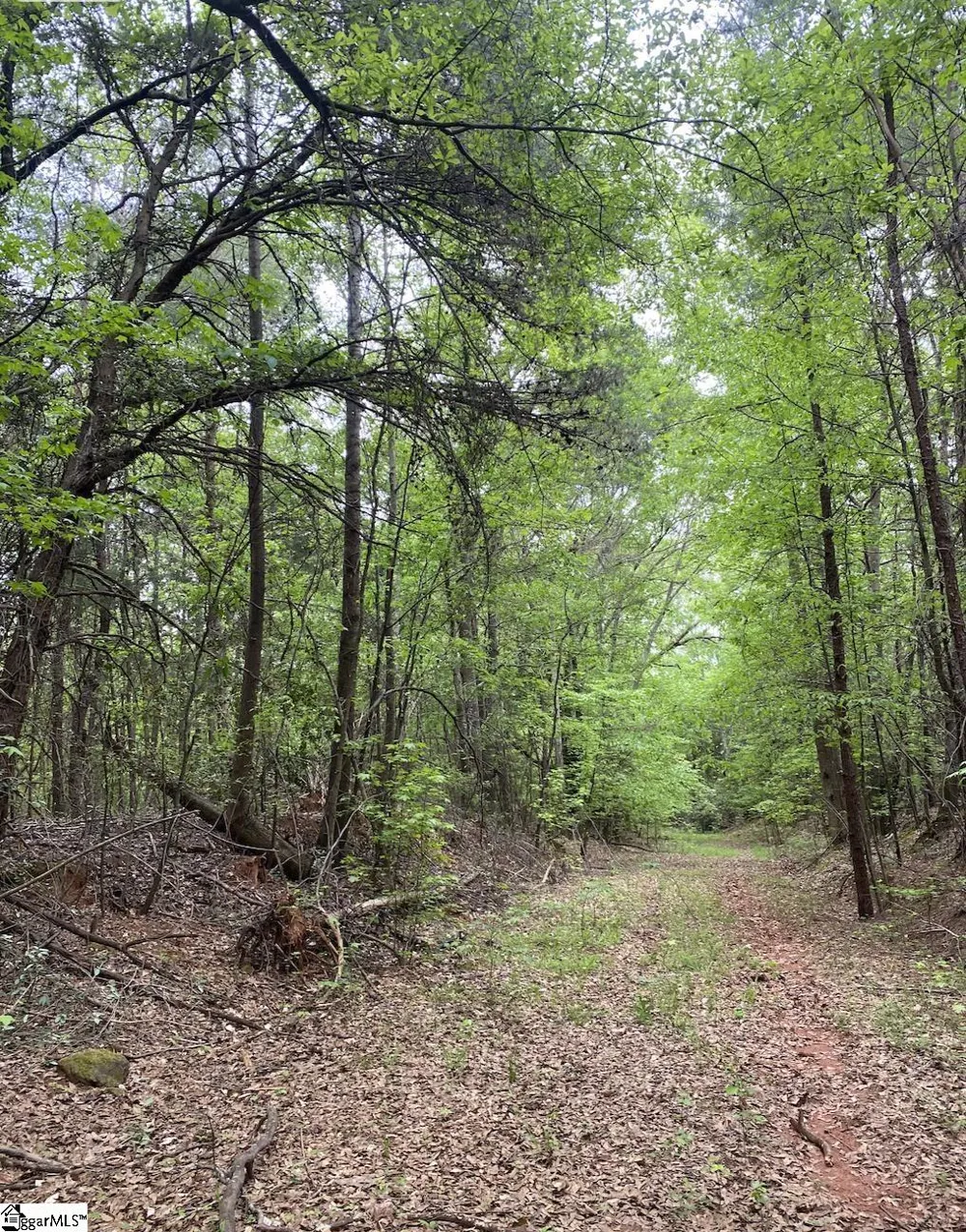 0 Wingo Road Wellford, SC 29385