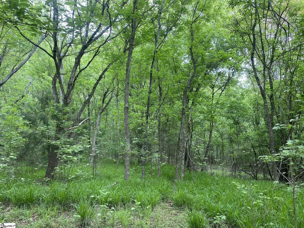 0 Wingo Road Wellford, SC 29385