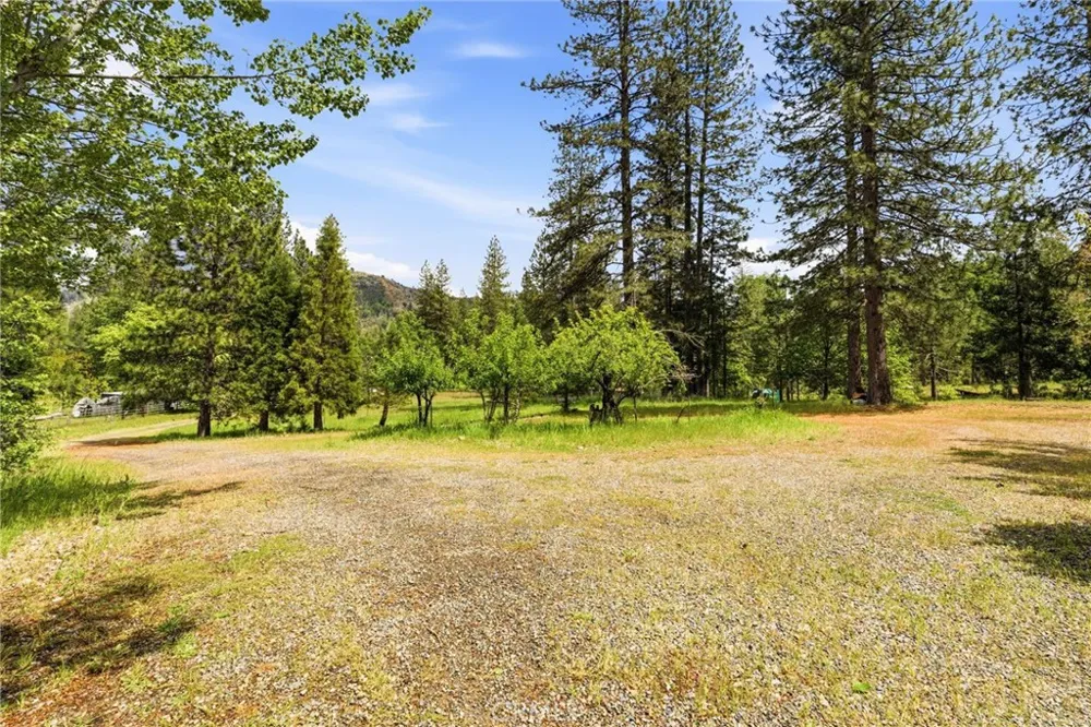 7019 Scott Mariposa, CA 95338